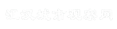 江汉城市观察网